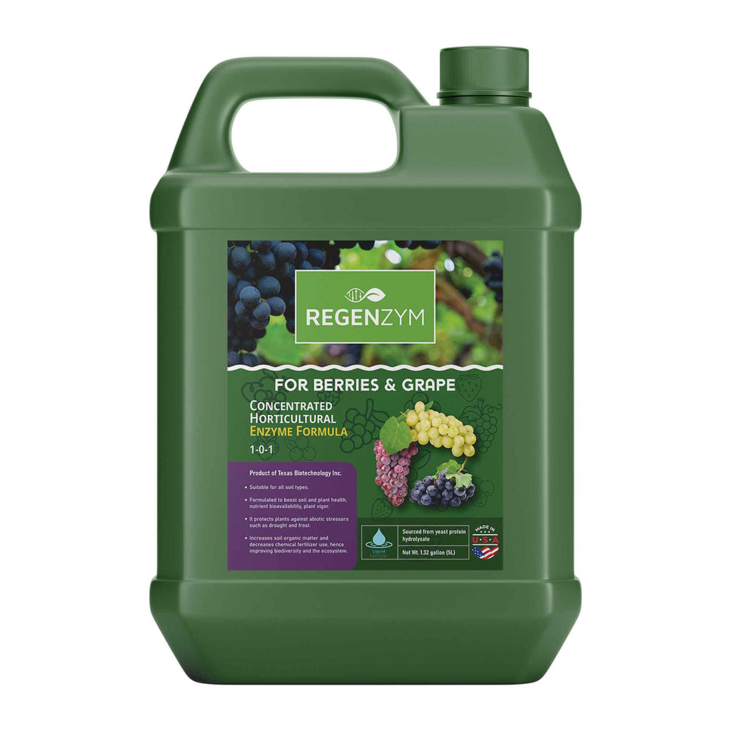 grape plant fertilizer Regenzym Berries and Grapes: Nurturing Soil and Plant Health for Remar – Texas Biotech